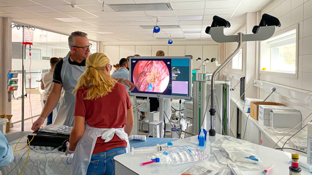 Två personer står i en sjukhussal och tittar på en monitor som visar upp insidan av en kropp.