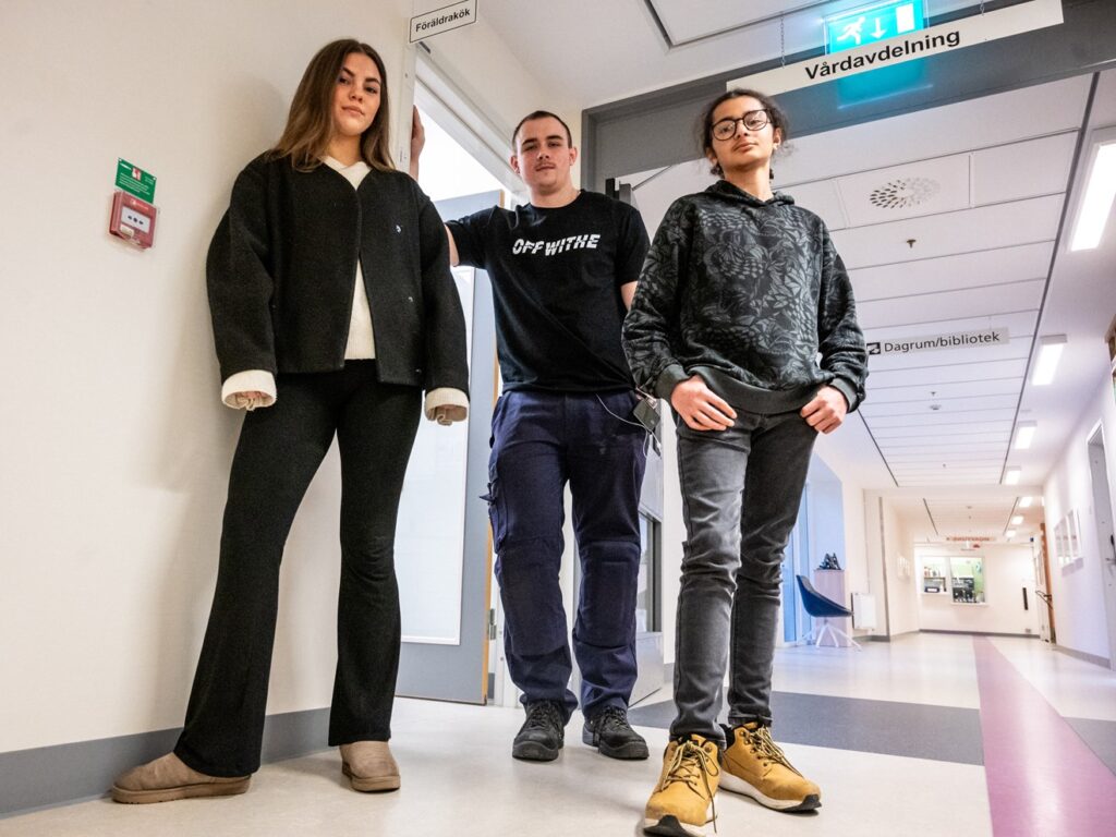 Cornelia Johansson, Lucas Arvidsson och Adam Saliba.