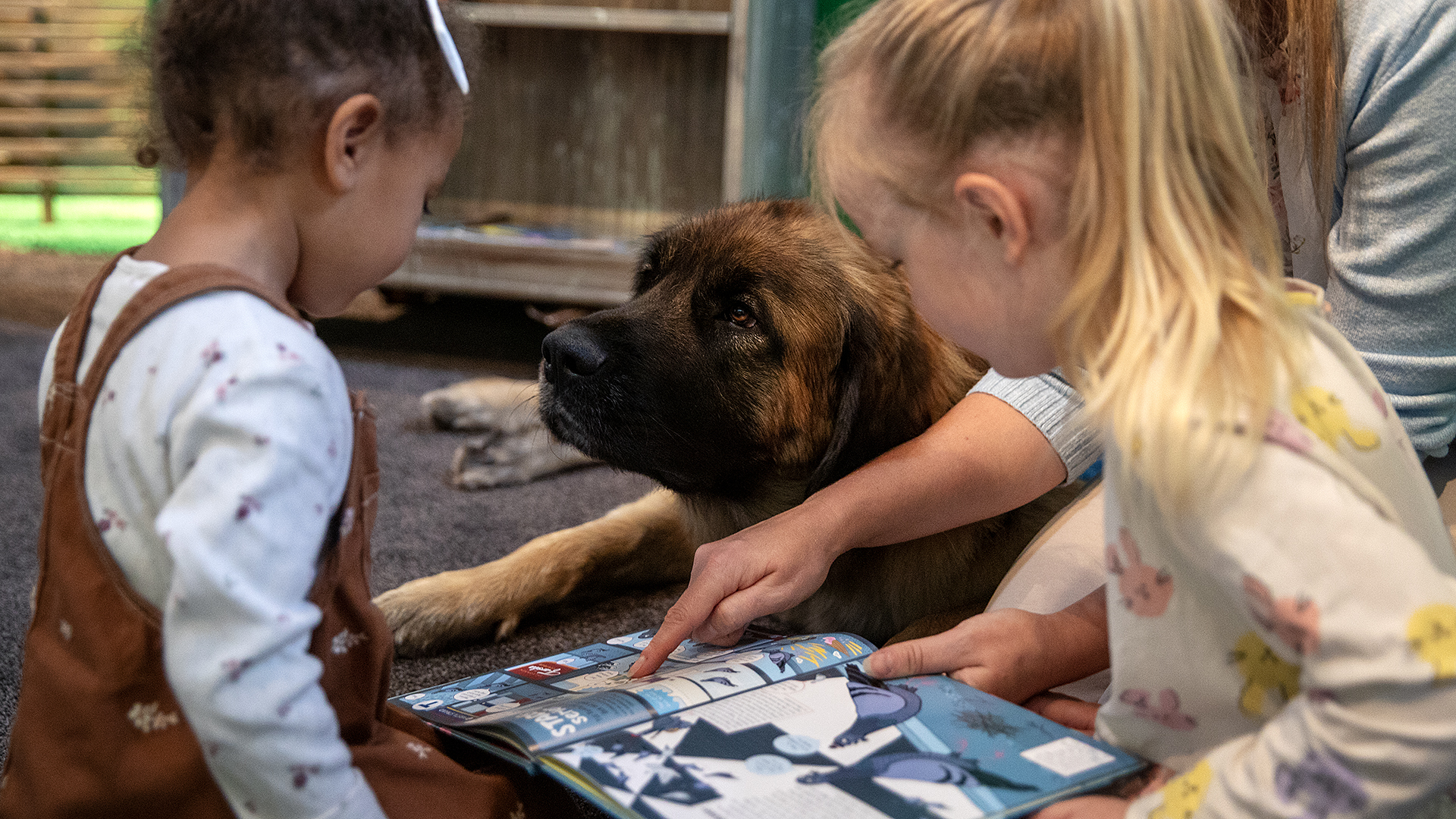 En hund och två barn.