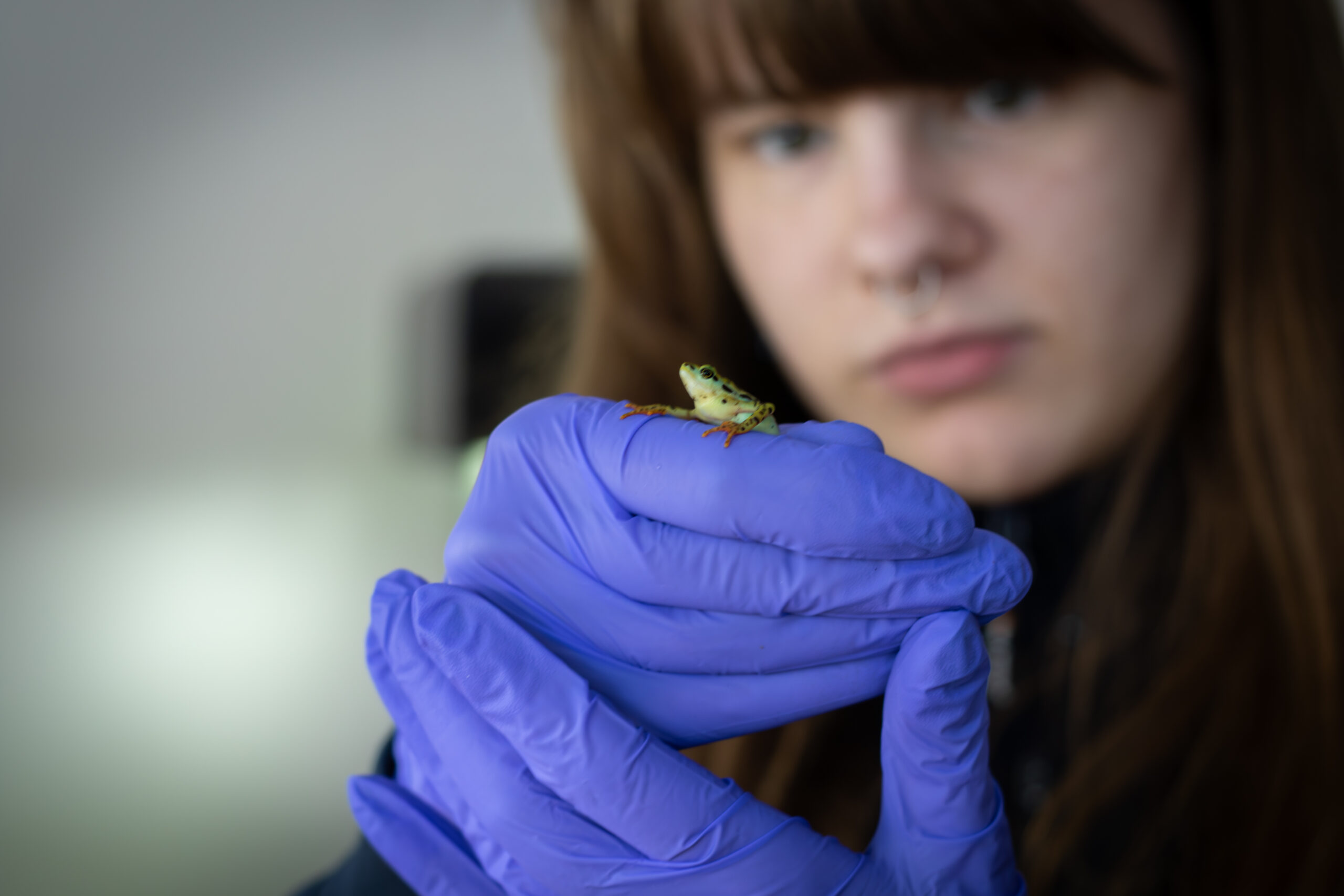 En padda som sitter på ett pekfinger.