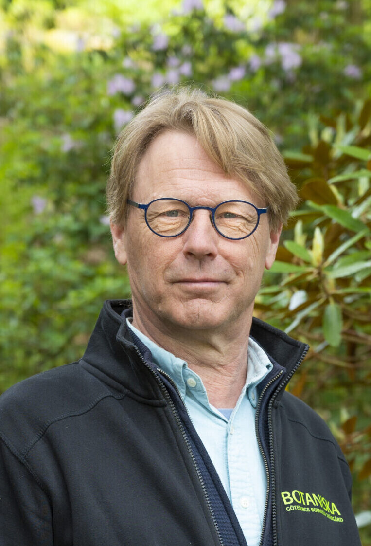 Porträttbild Mats Havström, Botaniska trädgården