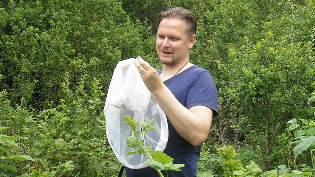 En man står med en håv i naturen.
