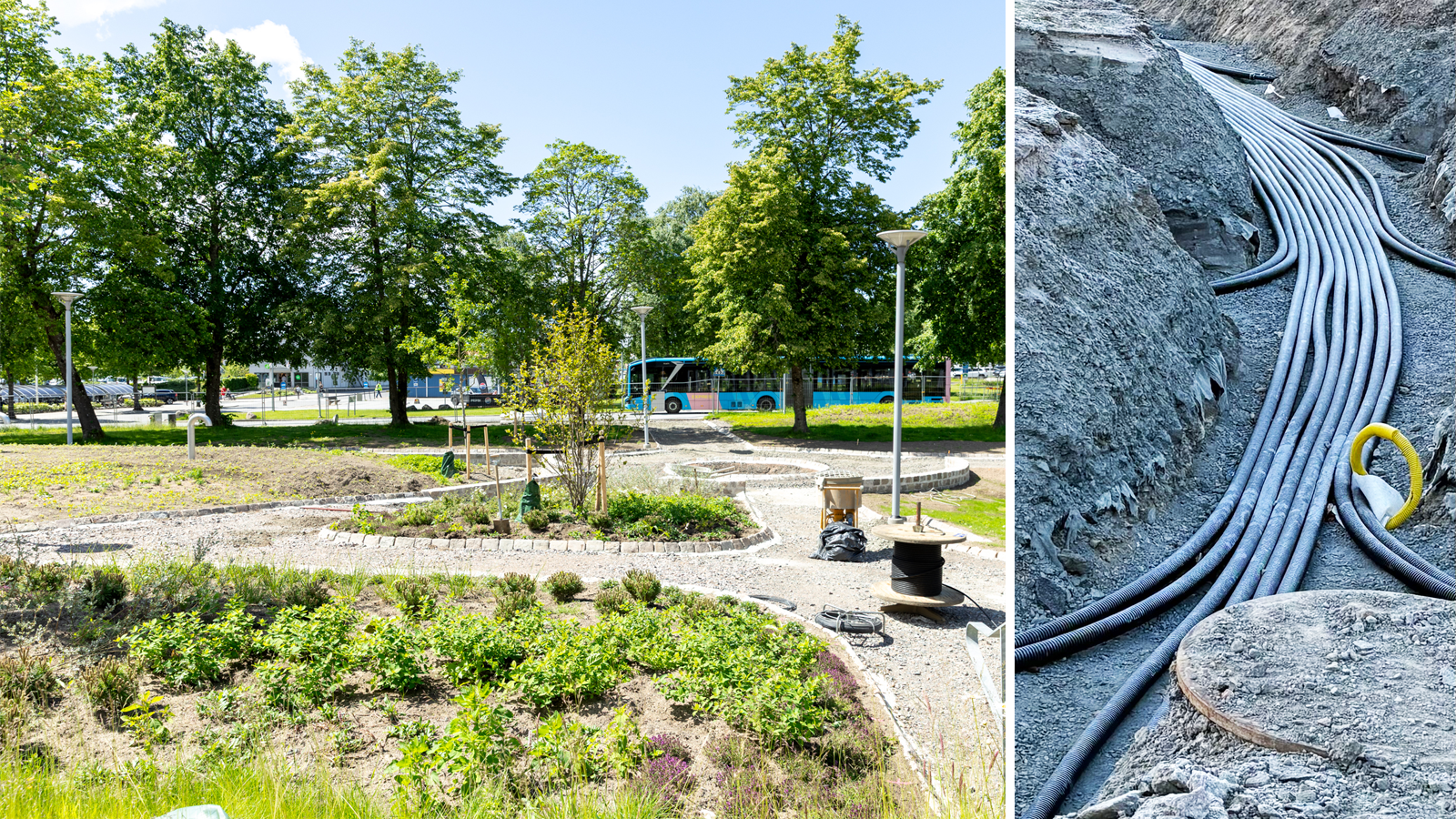 Bildkollage av vacker parkmiljö och komplext slangsystem