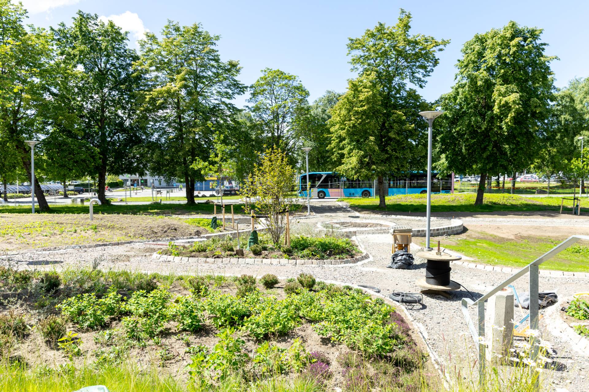 Parkmiljö