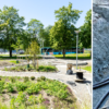 Bildkollage av vacker parkmiljö och komplext slangsystem
