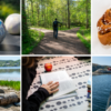 kollage med fotboll, vandring, fika, picknick, läsning och bad